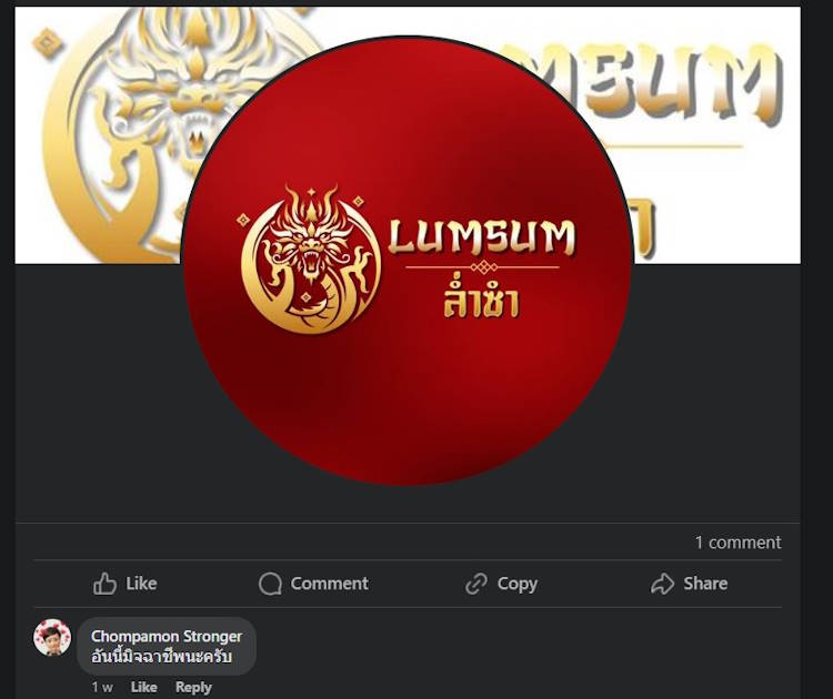 Lum Sum Negative Feedback Fb